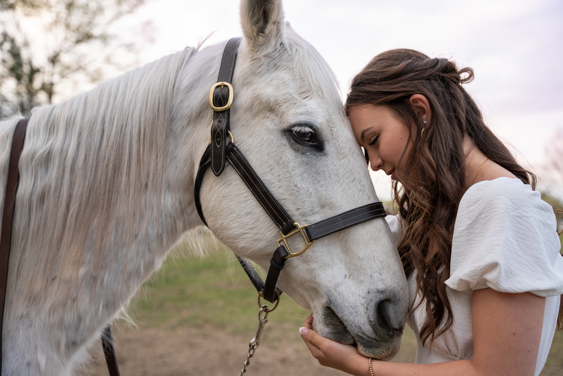 Byrnes High school senior in white dress posing with a white horse on a farm in Fountain Inn taken by Taylor Johnson photography